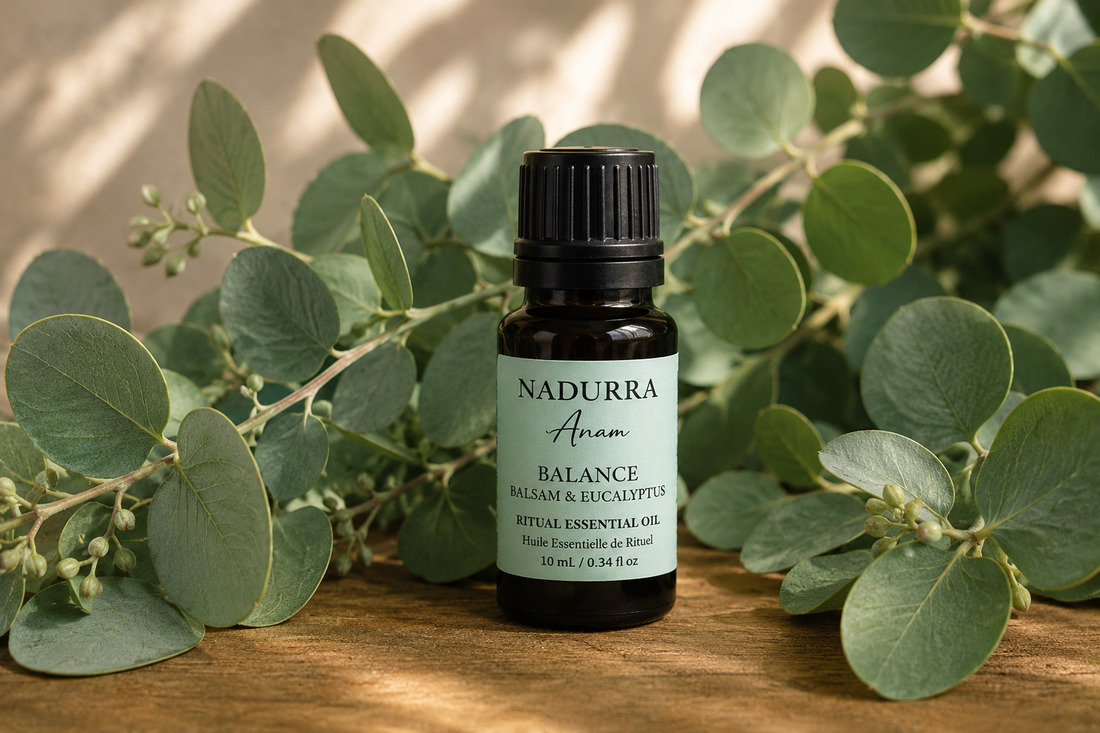 The Scent that Saved Me during my Son's Addiction